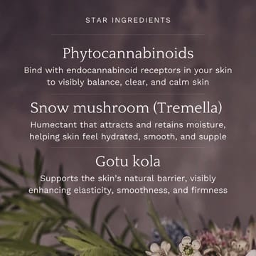 Text detailing star ingredients for skincare with a blurred natural background