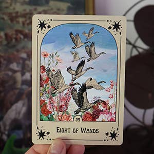 Card from a tarot deck featuring eight birds and floral elements, held against a blurred background.