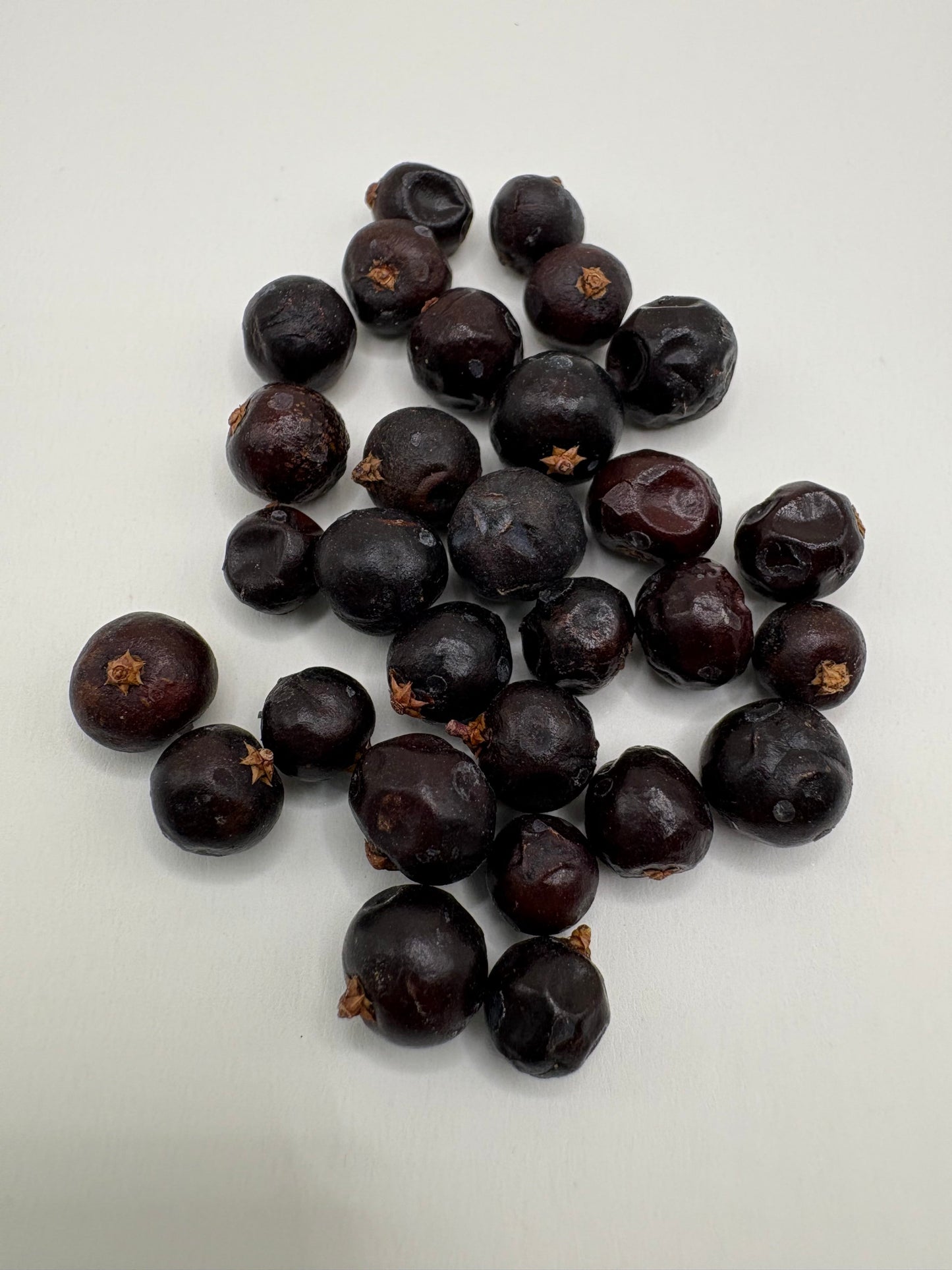 Whole Juniper Berries from Albania. Sacred botanical for cleansing, incense, and ritual use. Used in Himalayan and Native American traditions. 20 g package.