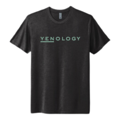 YENology tee, unisex tri-blend shirt, vintage black t-shirt, feel the wave apparel, mindful clothing, soft unisex tee, wellness fashion, YENology merch, minimalist streetwear, luxury basics