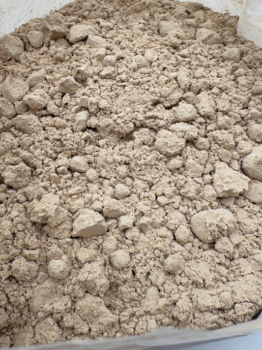 Close-up of Acorus calamus powder showing fine texture and warm golden tone.