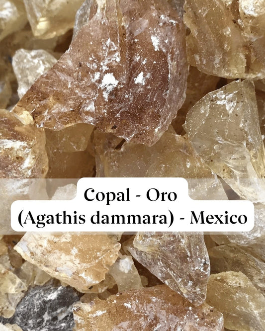 Close-up of golden Copal Oro resin pieces used for incense and purification.