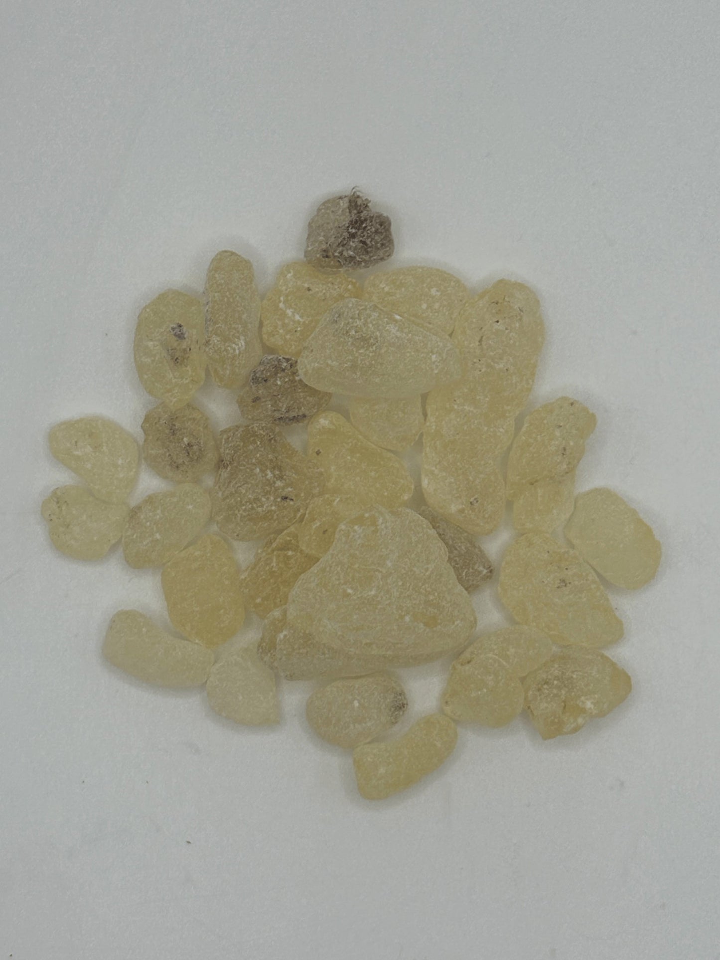 Close-up of Dammar Gum Resin showing translucent cat-eye texture and fine powder.