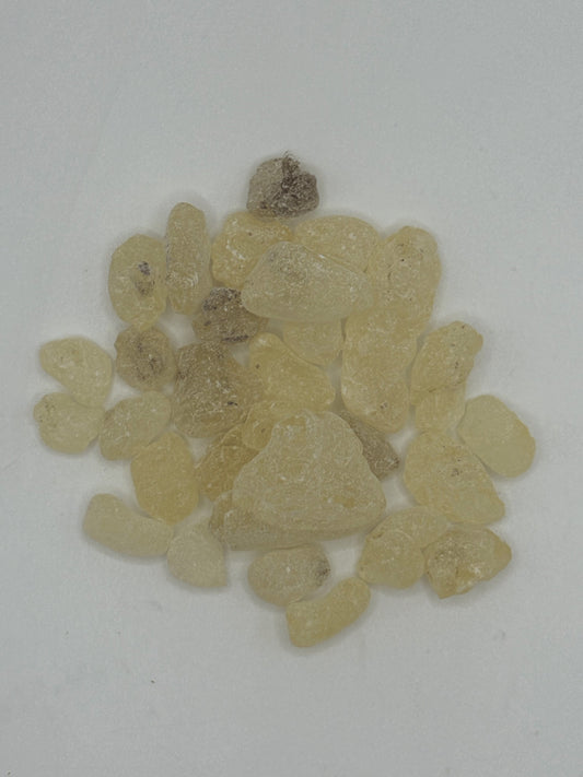 Close-up of Dammar Gum Resin showing translucent cat-eye texture and fine powder.