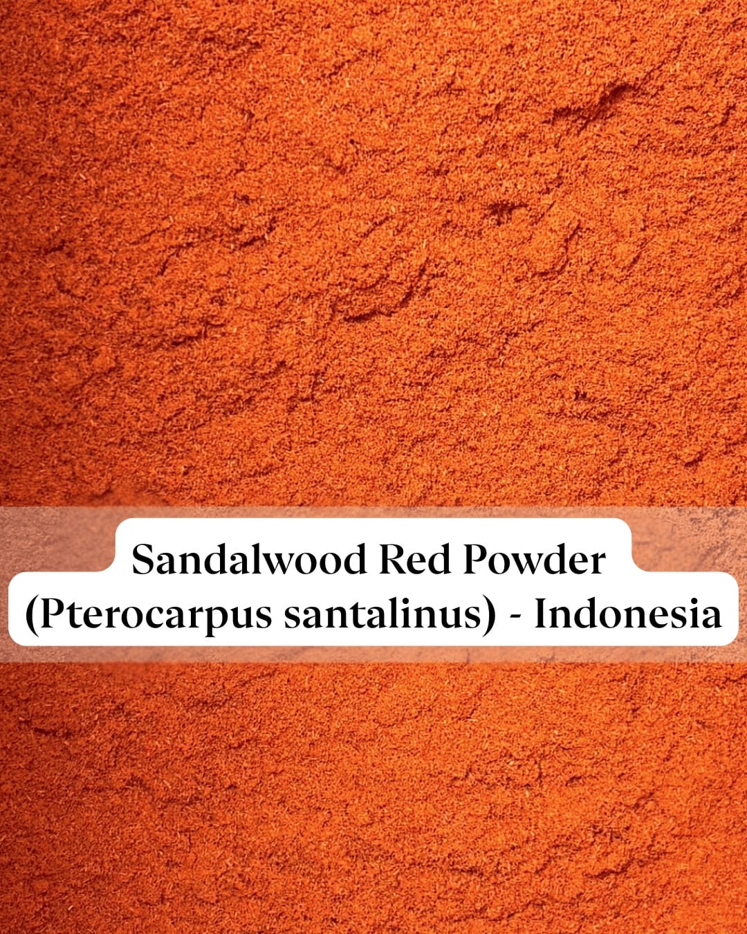 Close-up of Pterocarpus santalinus powder showing its rich crimson hue