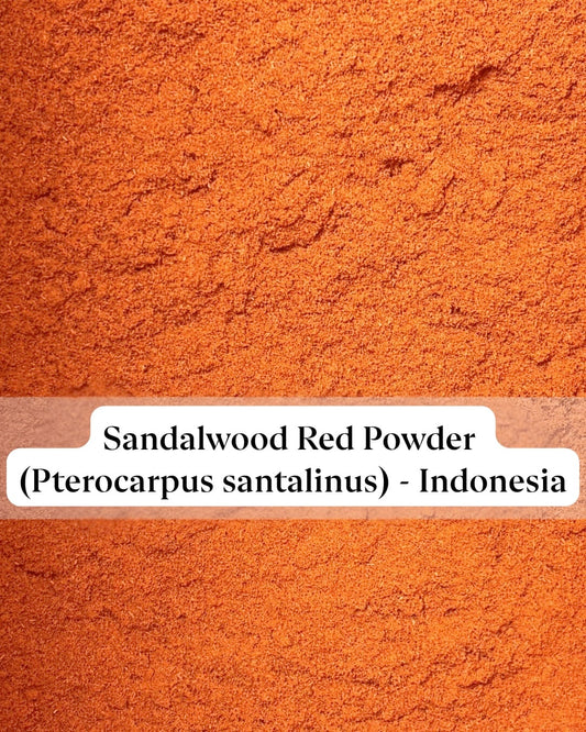 Close-up of Pterocarpus santalinus powder showing its rich crimson hue
