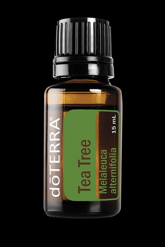 doTERRA tea tree oil, melaleuca essential oil, purifying essential oil, skin care oil, nail health oil, fresh aroma oil, cleansing essential oil, green diffuser oil, soothing essential oil, natural surface cleanser
