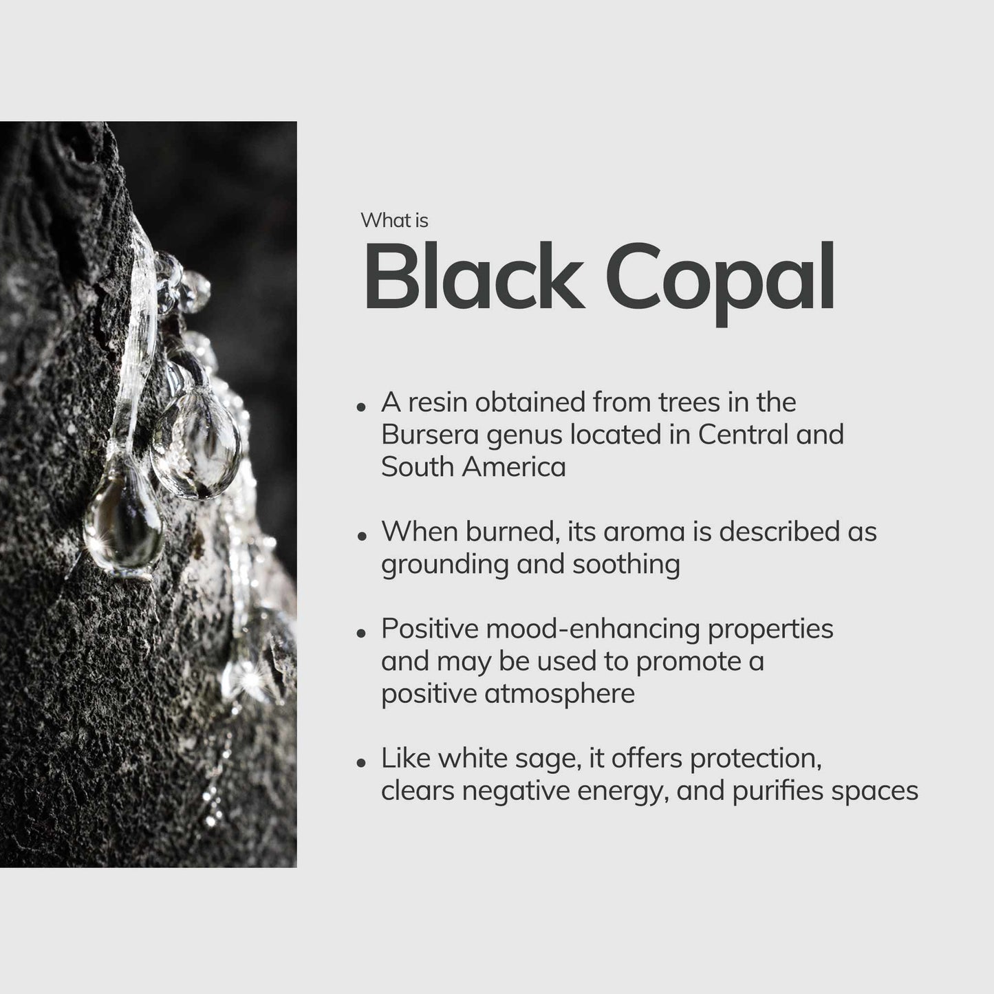 black copal incense, Mayan copal, hand-rolled incense Peru, YENology incense, sacred space cleansing, ritual incense, spiritual purification, resin incense, copal sticks, Peruvian incense, natural incense sticks, pine citrus aroma, meditation incense, grounding aromatherapy