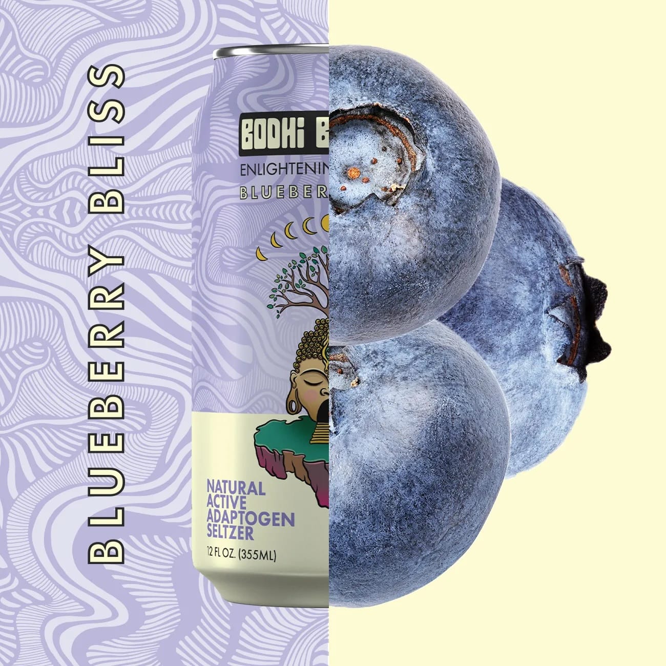 Lion’s Mane mushroom beverage
wellness sparkling water
monk fruit sparkling seltzer