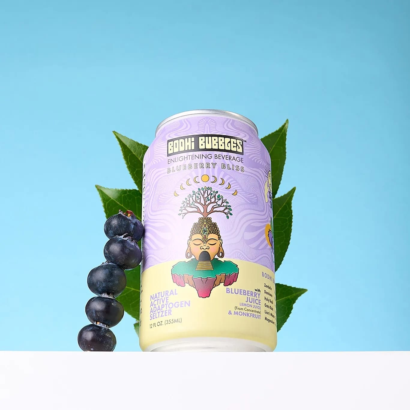 blueberry adaptogen seltzer
adaptogen sparkling water
blueberry functional beverage