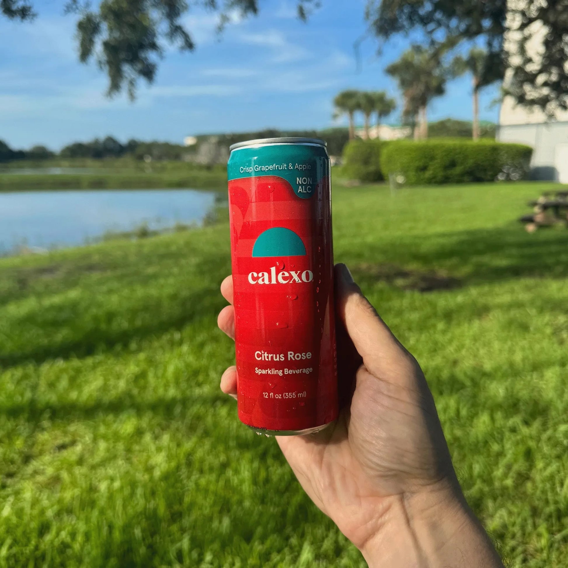 alcohol-free citrus floral beverage
Calexo award-winning drinks
non-alcoholic cocktail alternative