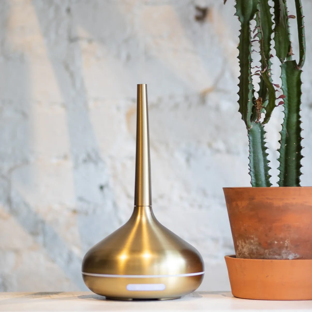 Gold essential oil diffuser next to a cactus plant on a neutral background