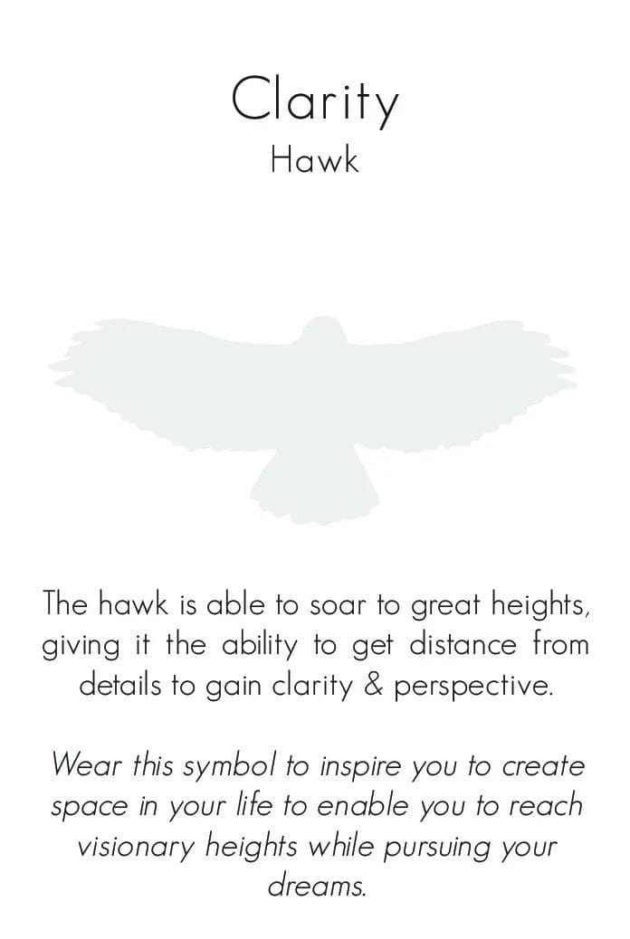 Hawk “Clarity” Necklace – Sterling Silver Symbol of Vision & Strength