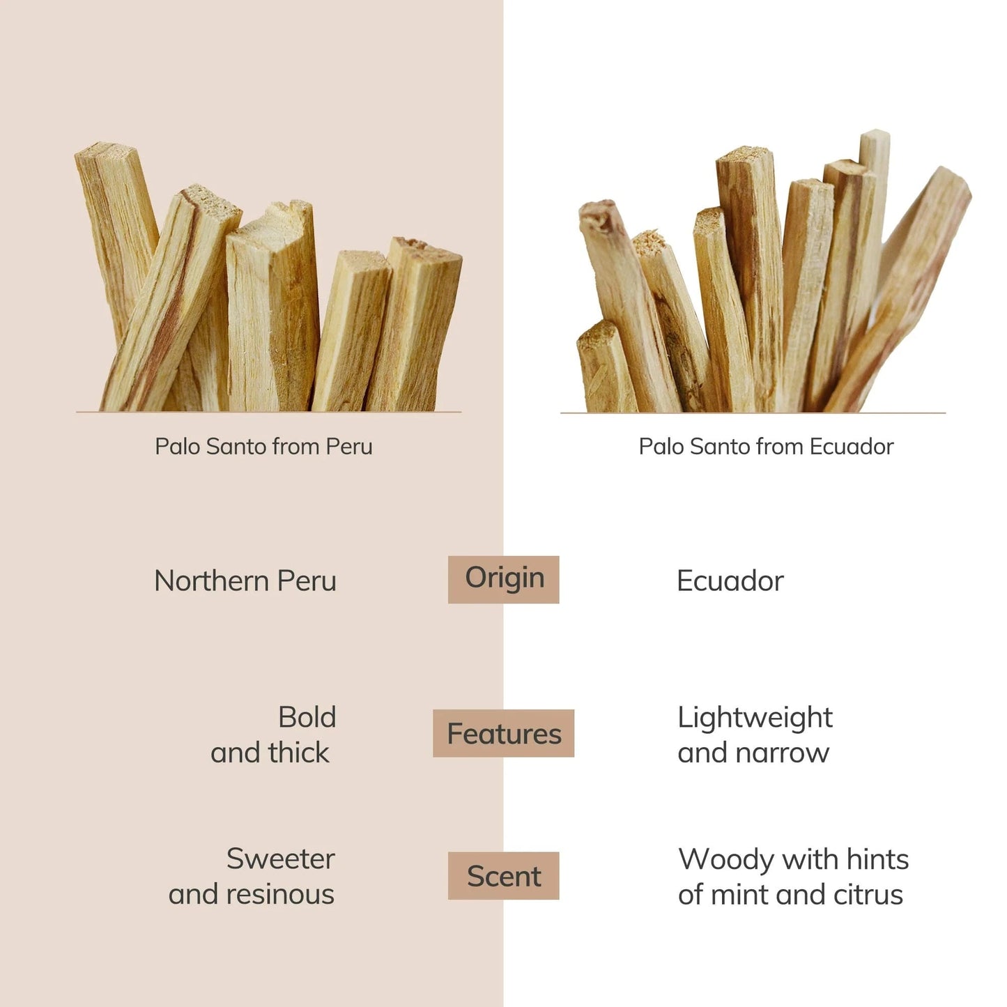 Comparison of Palo Santo from Peru and Ecuador with origin, features, and scent details.