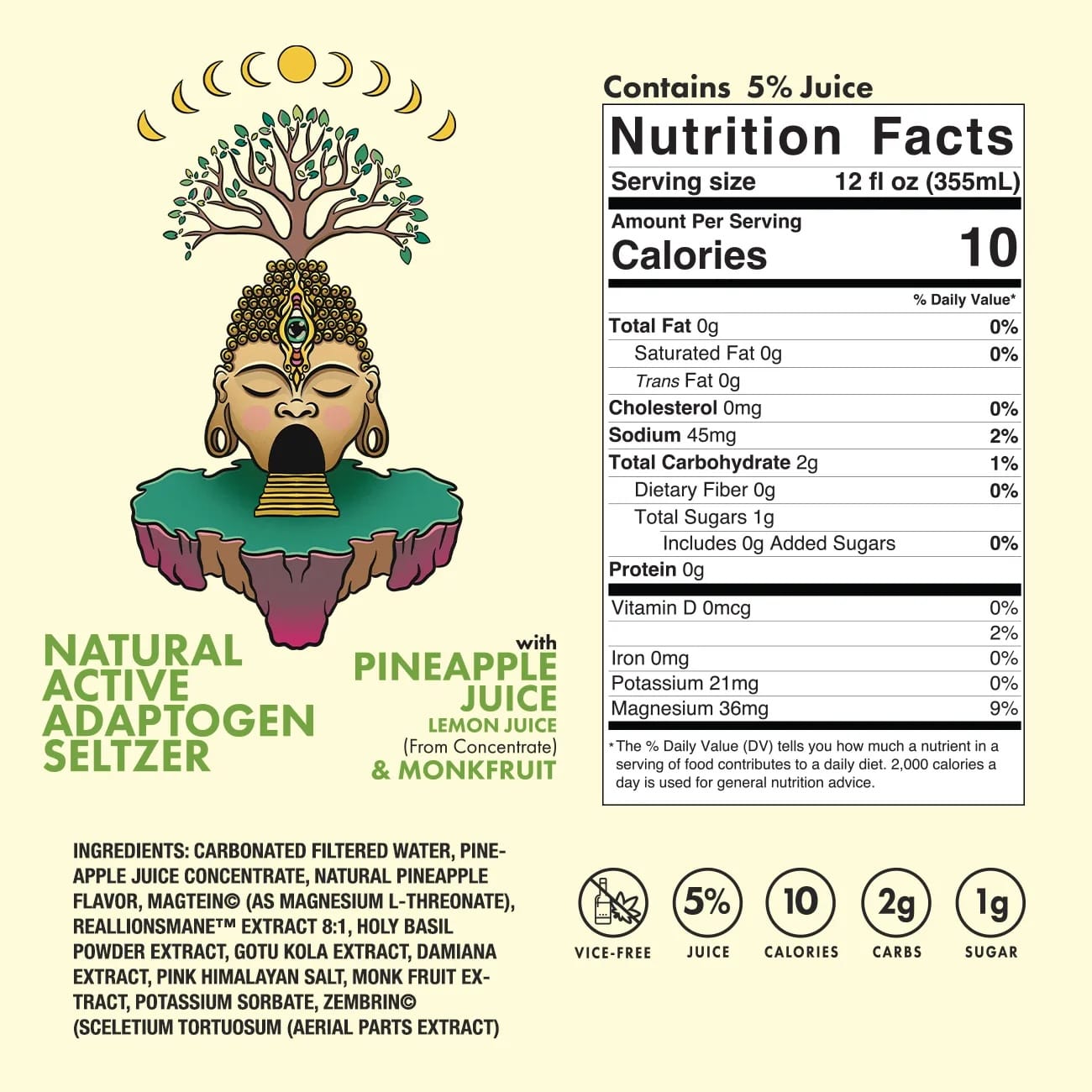 Pineapple Paradise | Adaptogen Seltzer Drink