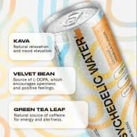 kava drink, orange vanilla kava water, sparkling kava beverage, alcohol alternative