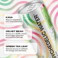 kava drink, Psychedelic Water, Prickly Pear kava, velvet bean beverage, alcohol alternative